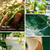 GREEN CRUSH