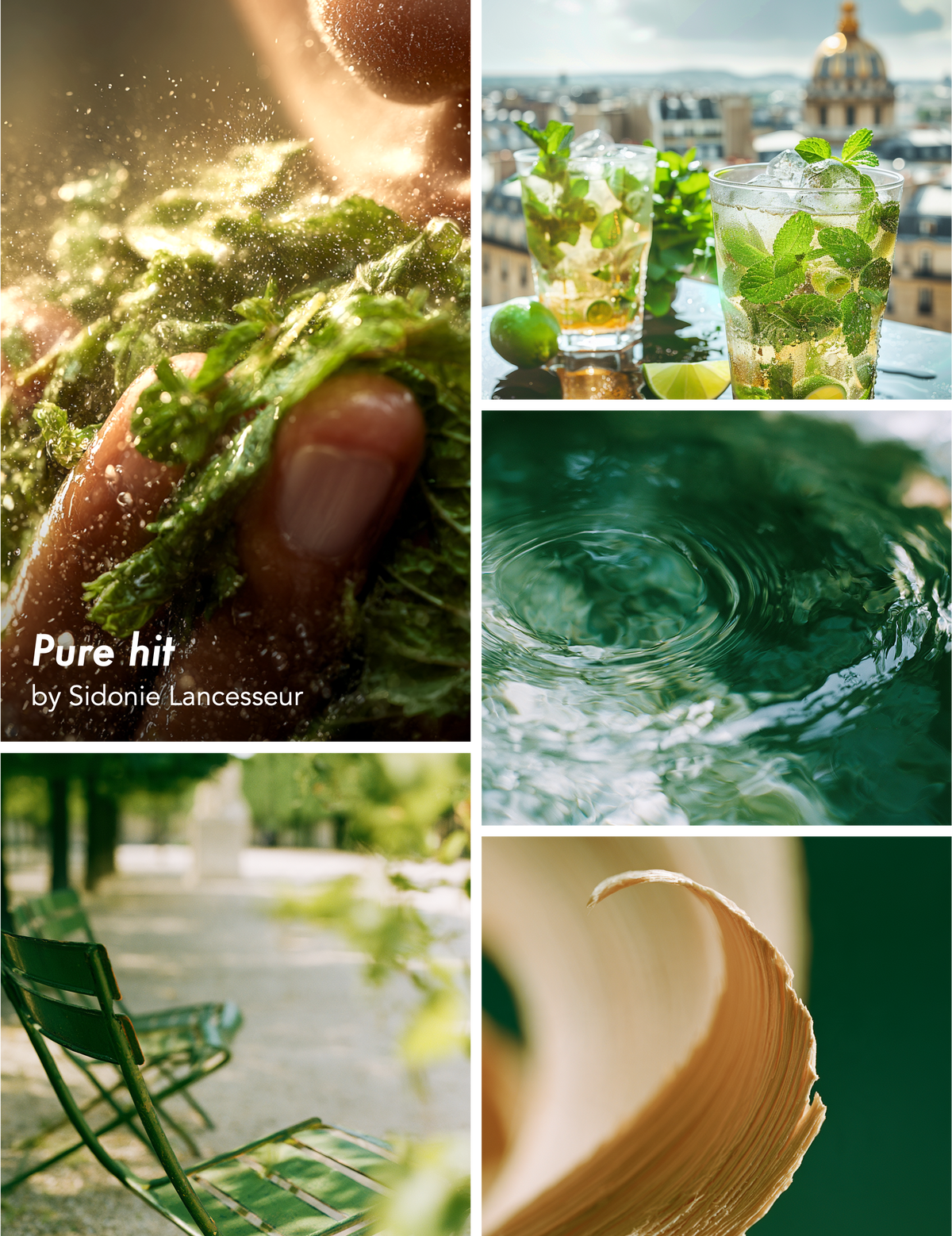 GREEN CRUSH