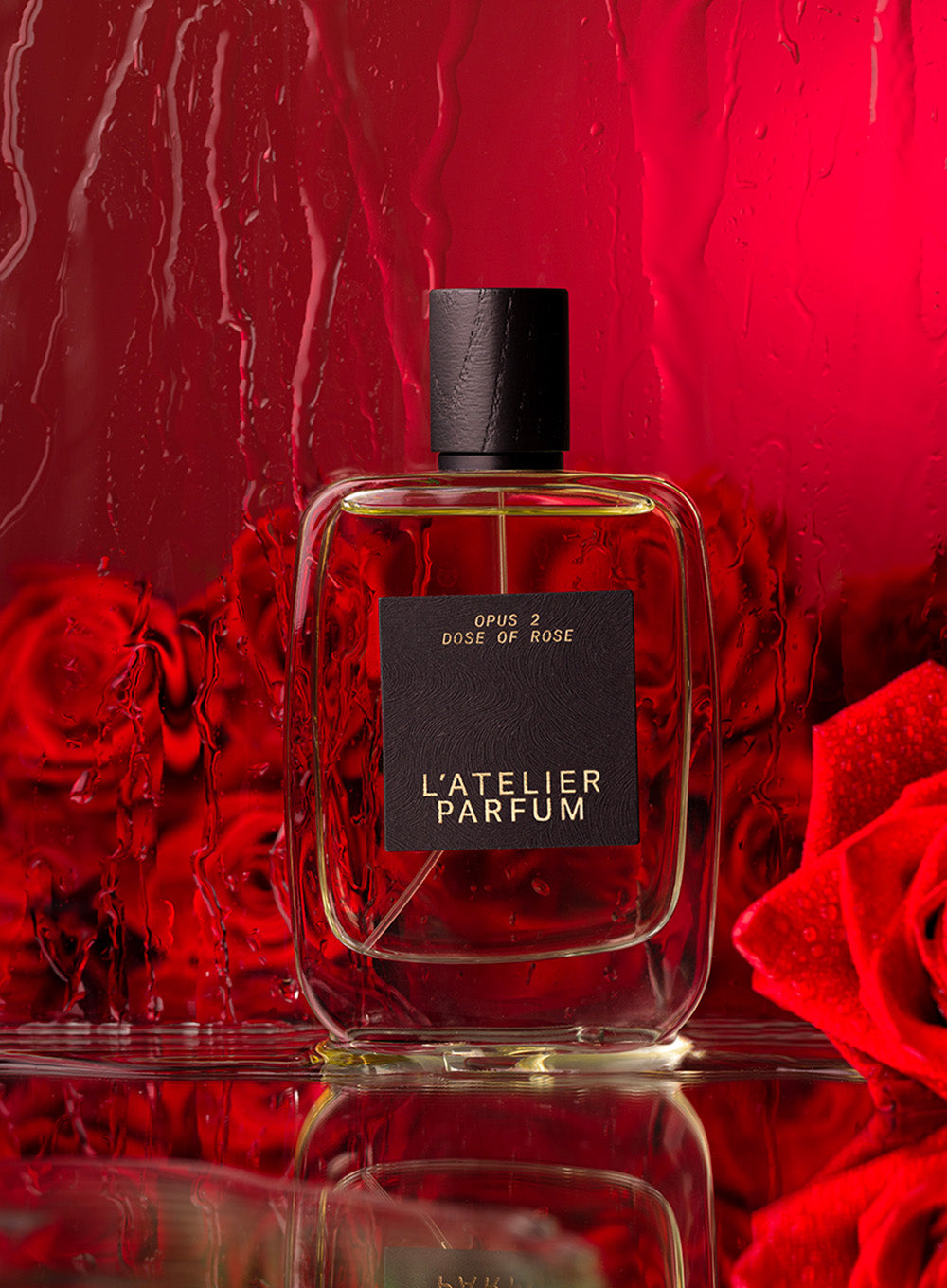THE UNIVERSE OF L'ATELIER PARFUM – L'Atelier Parfum