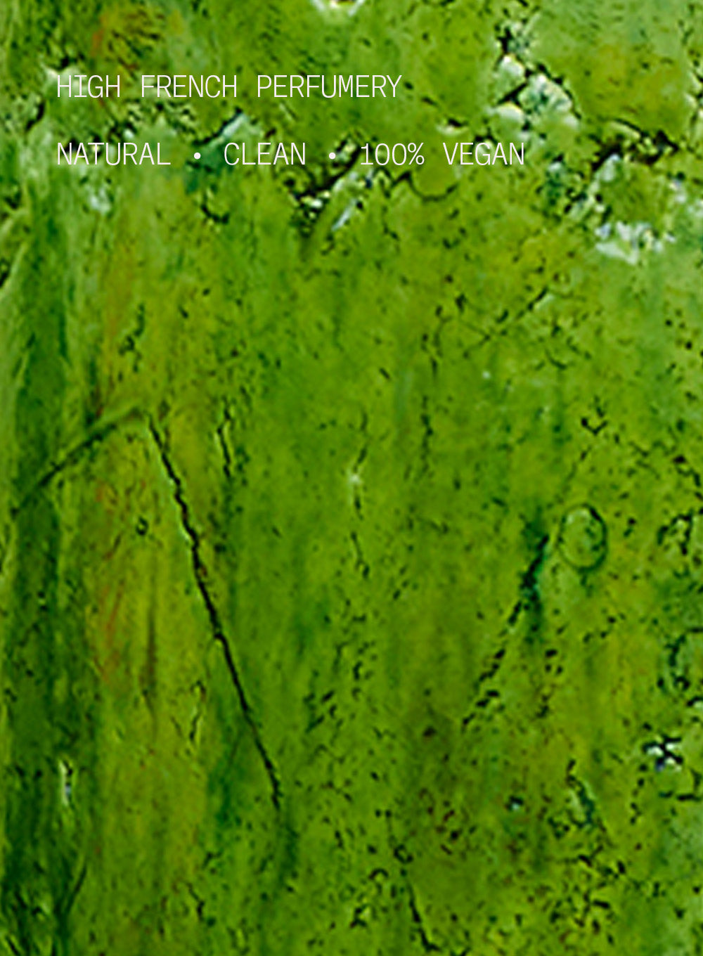 VERTE EUPHORIE