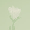 ARME BLANCHE - 15mL